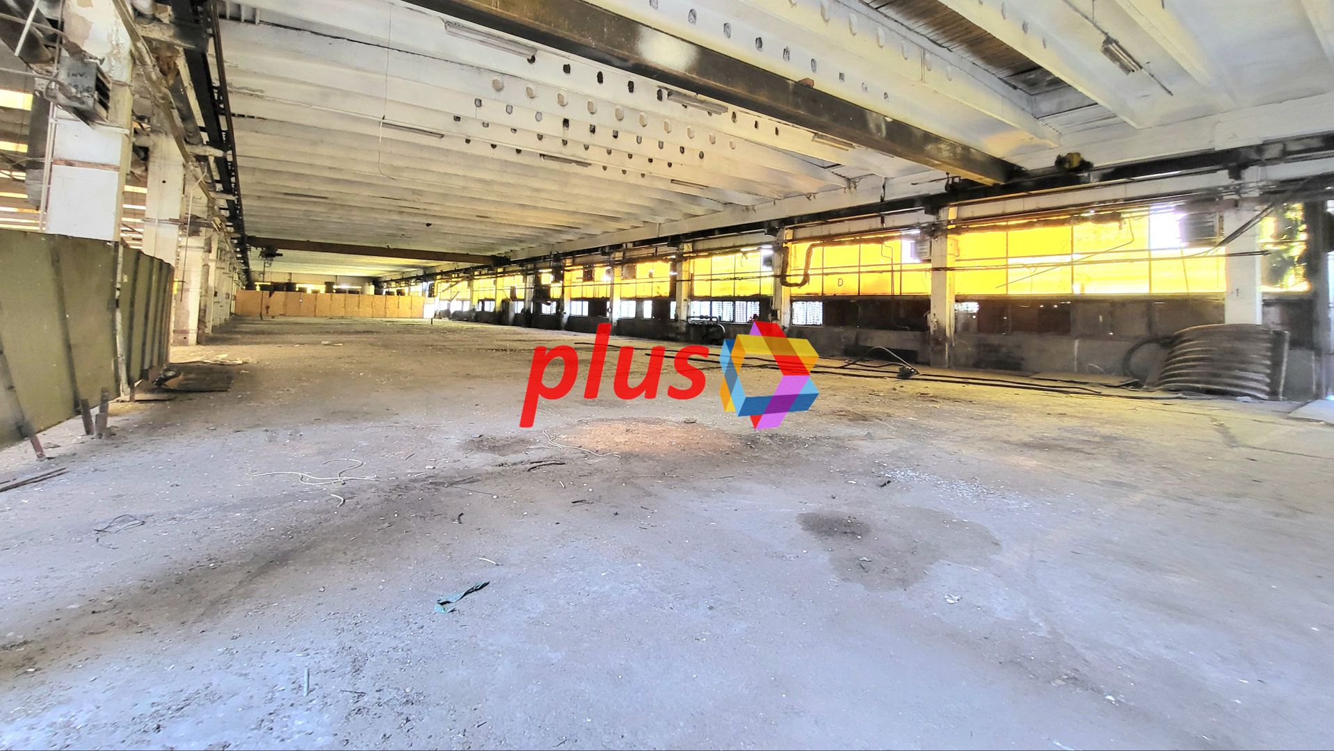 Hala - 2000 mp  # plus-imo.ro - Poză 3