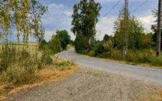Teren extravilan, 4265 mp, zona Dangau Mare - Poză 2