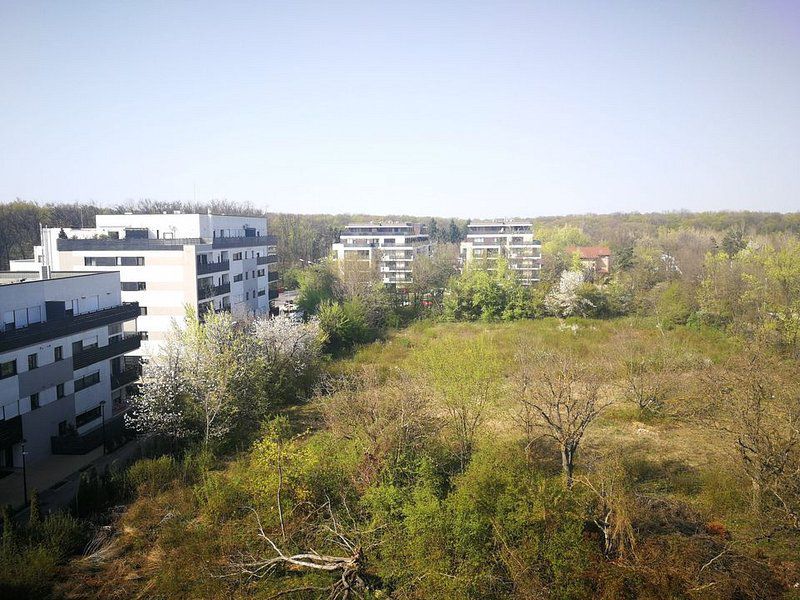 Apartament 2 camere Aleea Privighetorilor-Padurea Baneasa, Gradina Zoologica - Poză 15