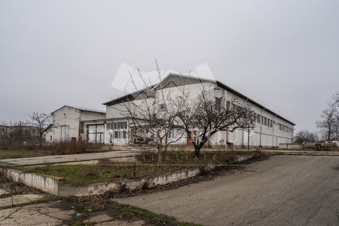 Teren 28.788m + Hale industriale + Sediu Firma - Poză 30