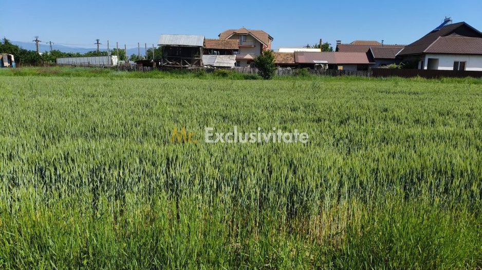 Teren 10.294 mp de vânzare Târgu Jiu | Intravilan + Extravilan | Utilități - Poză 5