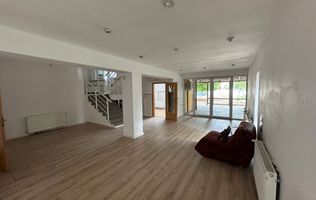 Casa in Calea Aradului pretabilă activități economice