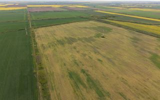 Teren investițional strategic 44.700 mp Arad Vest - Poză 14