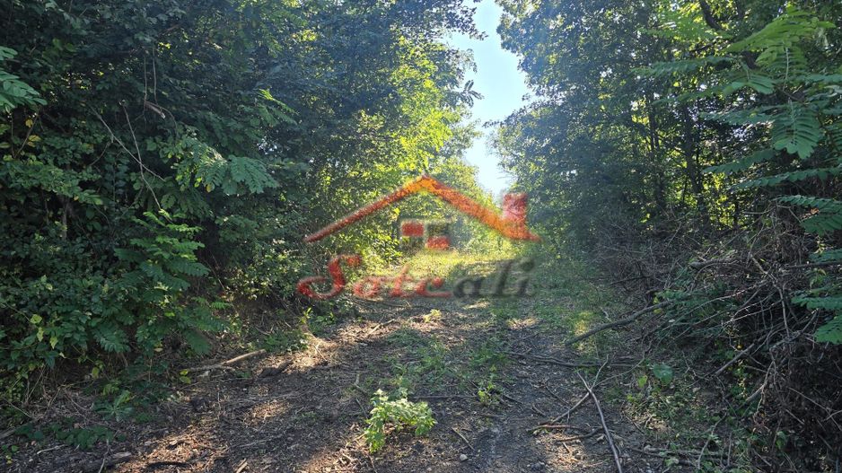 Teren intravilan de vanzare Cornu - Poză 7