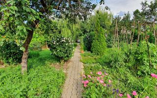 Casa 3 camere, 1259 mp teren, zona Centru - Poză 5