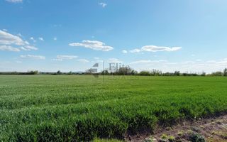 Teren extravilan 6450 mp in Osorhei acces din DN1 - Poză 3