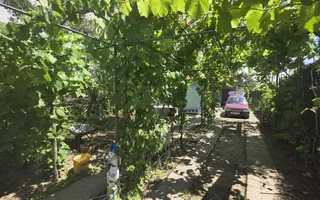 Casa individuala la pret de teren in Timisoara - Poză 11