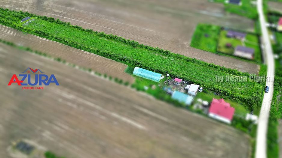 AZURA Imobiliare - Teren Mosoaia - Poză 12