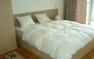 Apartament 3 camere de inchiriat - Asmita Gardens - Poză 6