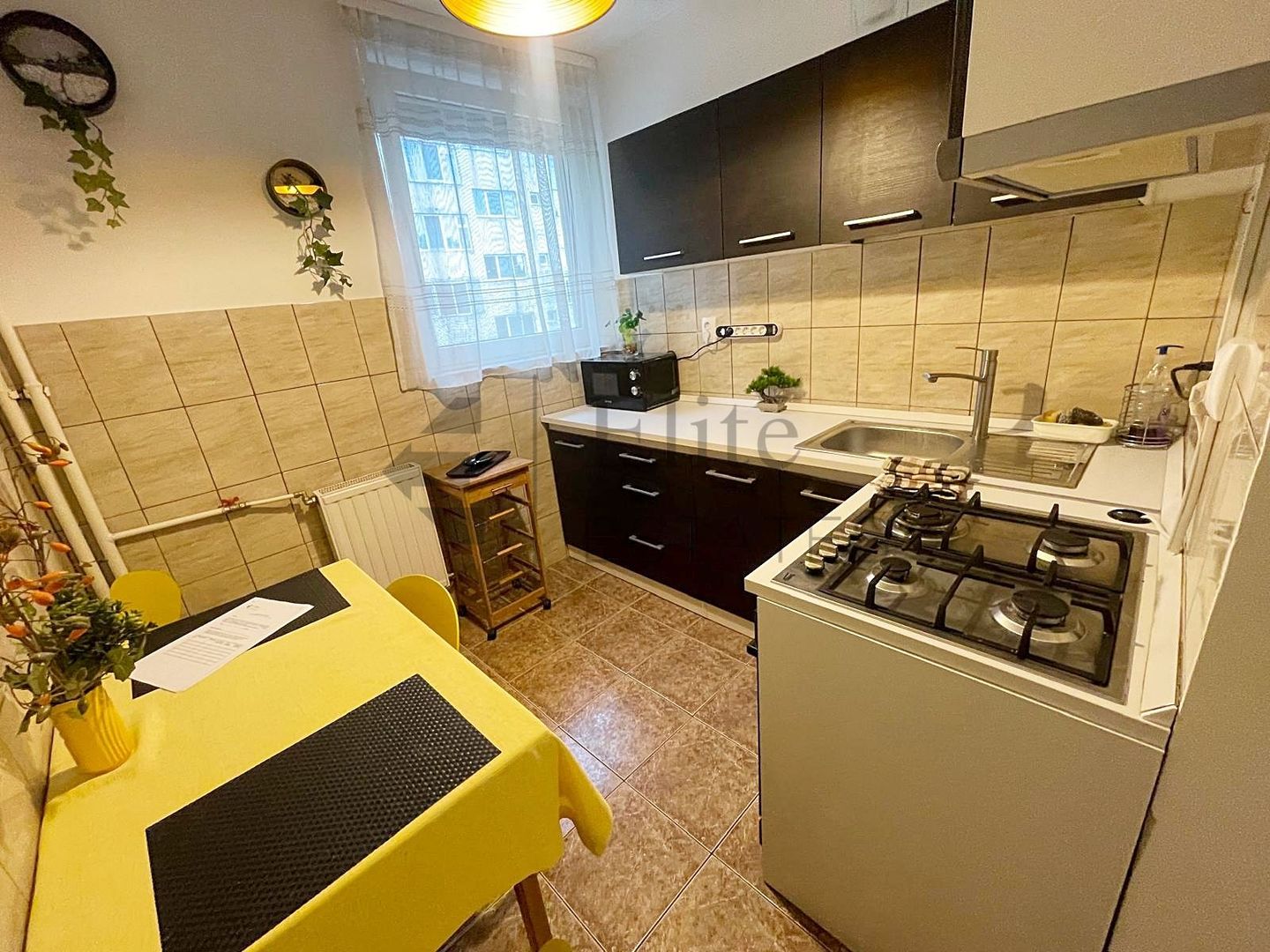 Apartament cu 2 camere de inchiriat Bld Dacia, Oradea - Poză 4