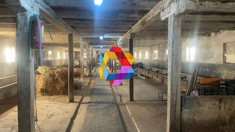 Hala - 1000 mp + 500 mp pod #plus-imo.ro - Poză 9