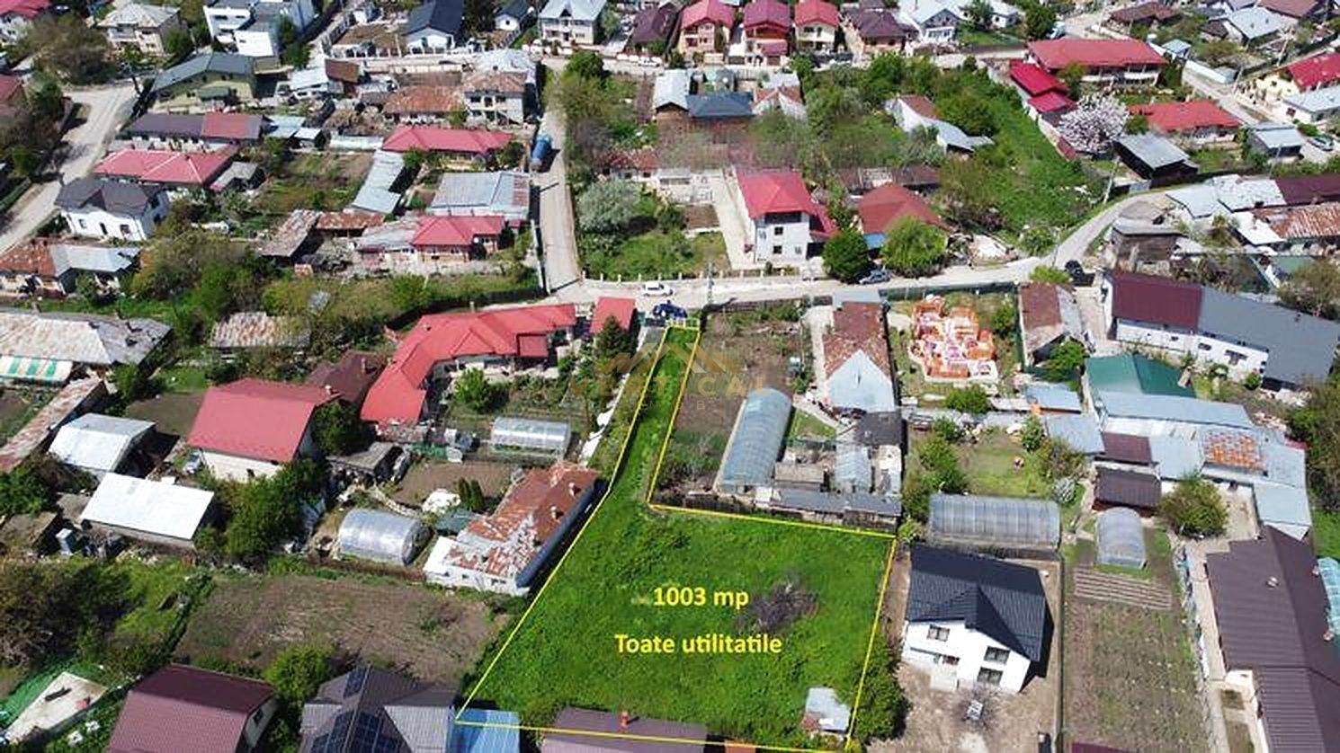 TEREN RAR DE 1.003 MP – O OAZĂ DE VERDEAȚĂ ÎN MIJLOCUL COMUNEI BERCENI - Poză 3