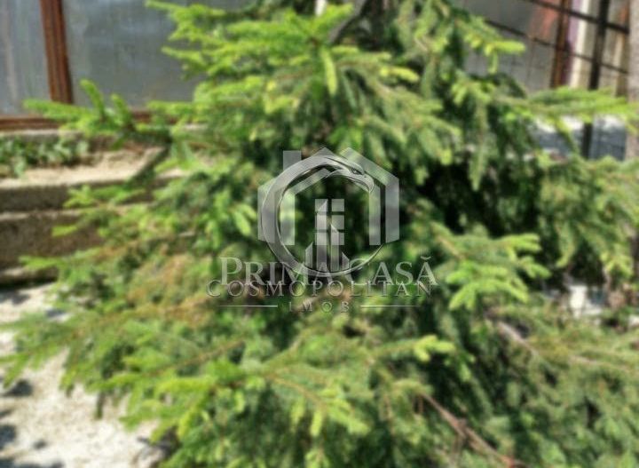 Casa zona Dorobanti teren 500mp toate utilitatile 58.000 euro - Poză 6