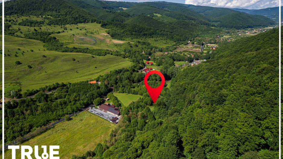 Teren intravilan 2.800 m² în Câmpu Cetății – liniște și natură - Poză 18