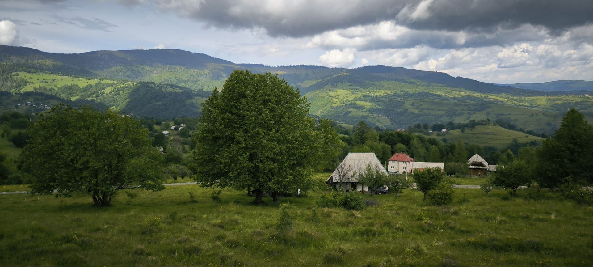 Teren Rogojel 15.000MP 8 EURO/MP - Poză 3