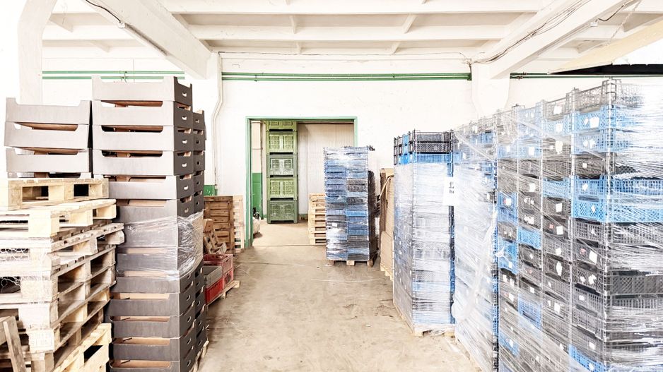 Hala industriala de vanzare Arad – 589 mp - Poză 2