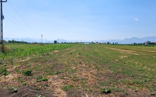 Terenuri Intravilane  Harman - Poză 13