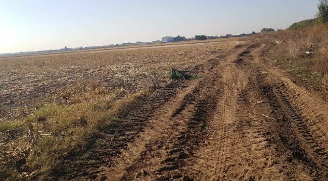 teren Afumati - Poză 1