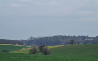 Lot 1000 mp in umbra padurii cu view la lacul academiei din Caciulati - Poză 2