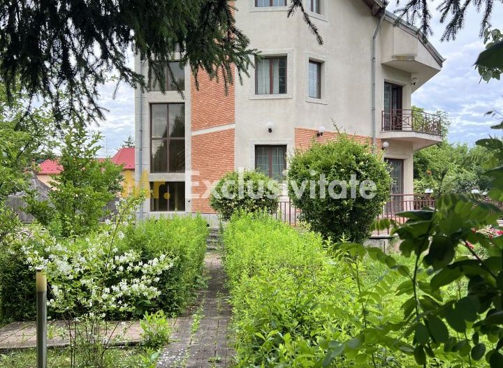 Acasă la Bascov- Județ Arges cu peisaj de poveste - Poză 11