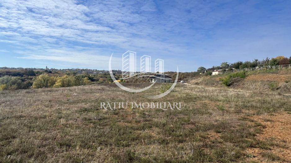 Teren intravilan 3961 MP | Paleu | Bihor - Poză 4