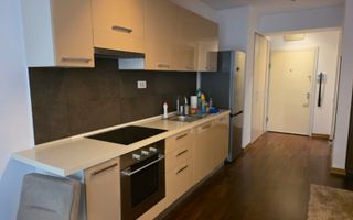 Garsoniera InCity Residence- Dristor- Vitan Mall - Poză 9