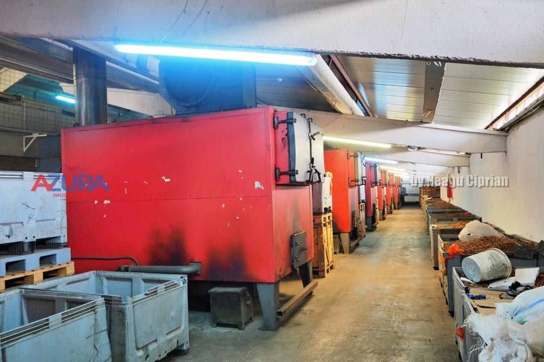 COMISION 0% - HALE Calinesti Arges - Poză 40