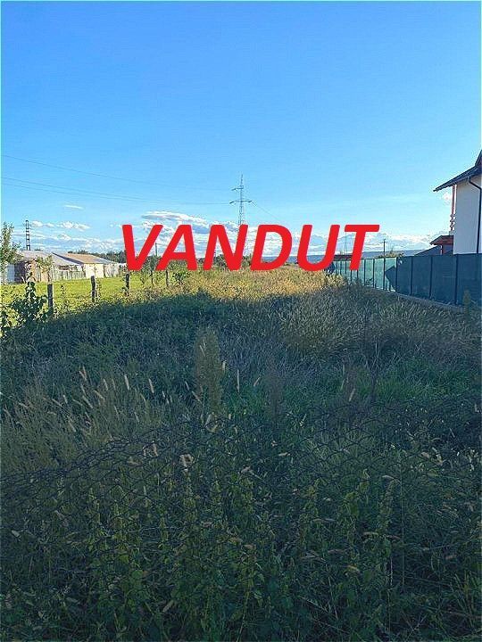 Vanzare Teren Colibasi Intravilan - Poză 1