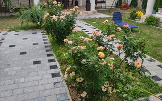 Casă in zona Iosefin - Poză 13