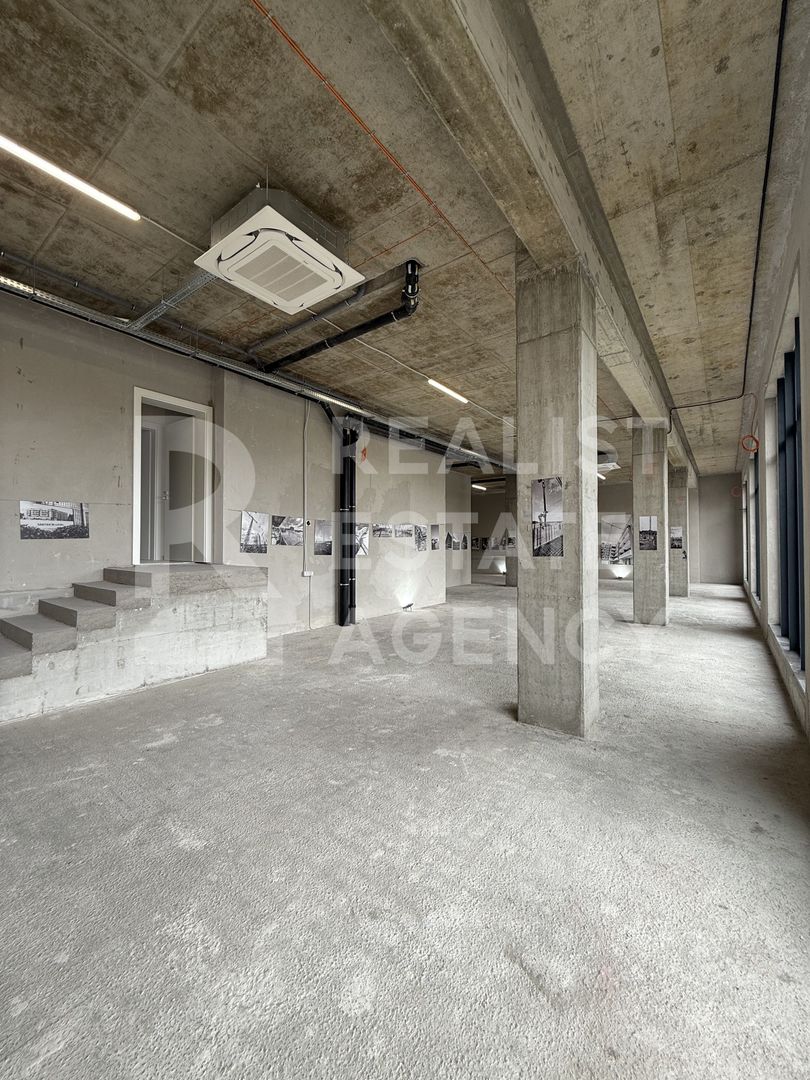 Vânzare, spațiu comercial, 245 mp, Torontal, Timișoara - Poză 12