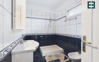 Proprietate industrială + Teren 8.632 - Voiteg - Județul Timiș - Poză 12