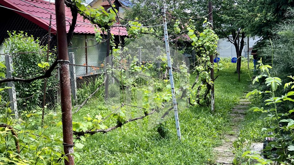 Casa curte comuna in zona Milea- Teren 300 mp - Poză 6