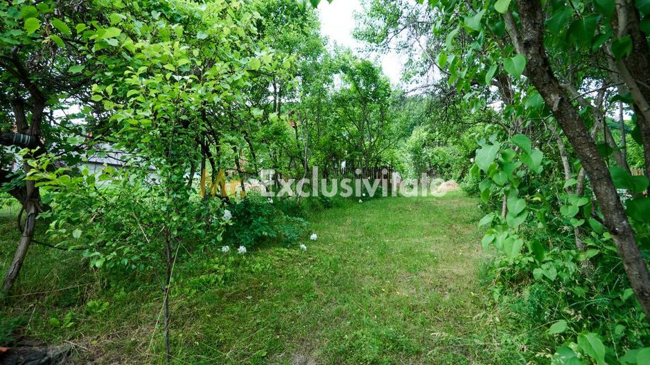 Casa cu teren generos - 4696 mp Apa Sarata - Campulung !! - Poză 7