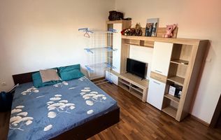 2 dormitoare| Lipovei| zona frumoasa| centrala proprie, clima| pet friendly