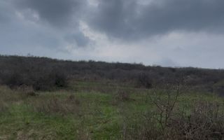 Teren 2 ha Sorogari – deschidere la drum, oportunitate investiție Iași - Poză 2