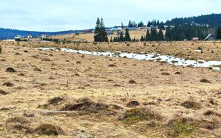 TEREN CU VEDERE LA LAC, 5959 MP Statiunea Turistica Montana BELIS-CLUJ - Poză 5