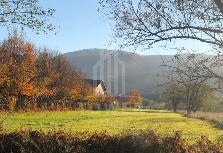 Teren Intravilan -Zona Tocile - Poză 3