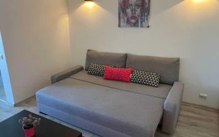 Garsoniera, 1 min Metrou Favorit, PET FRIENDLY, Renovata - Poză 3