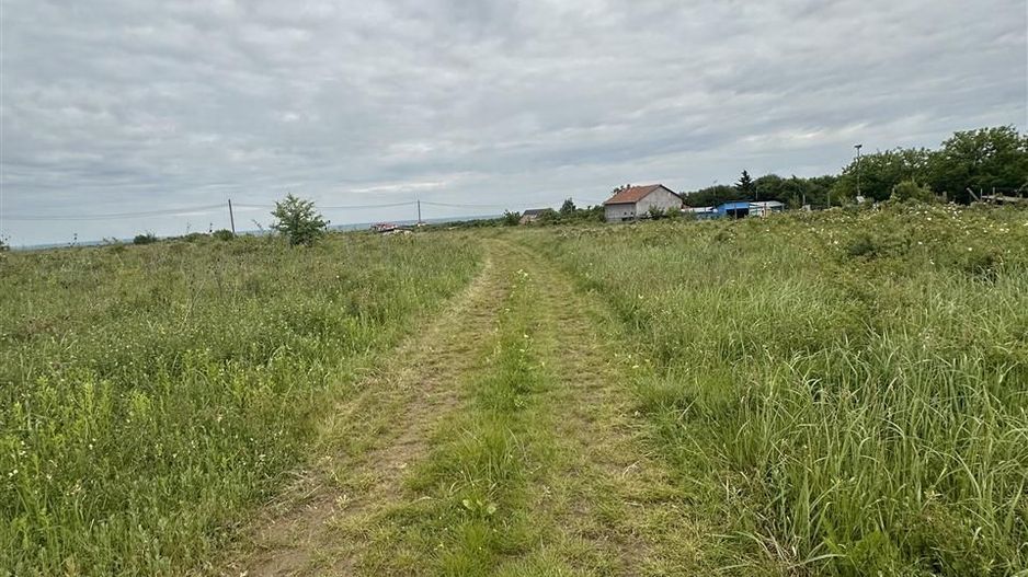 Teren intravilan Paleu la intrare - Poză 2