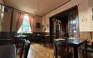 Grădina Icoanei – vilă cu potențial multiplu - Poză 2