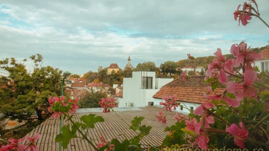 Casa renovata, mobilata si utilata complet - Poză 32