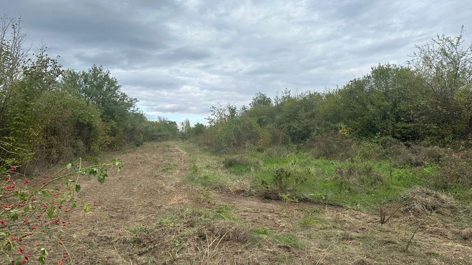 6300 mp teren Pasarea cu deschidere la lac - Poză 5
