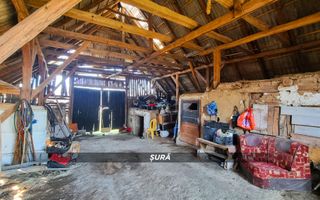 Casa de vanzare in Borlesti, Pomi | 37 ari teren | Comision 0% - Poză 17
