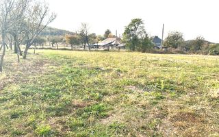 Teren intravilan – 1.135 mp, sat Crampotani, com. Merisani - Poză 1