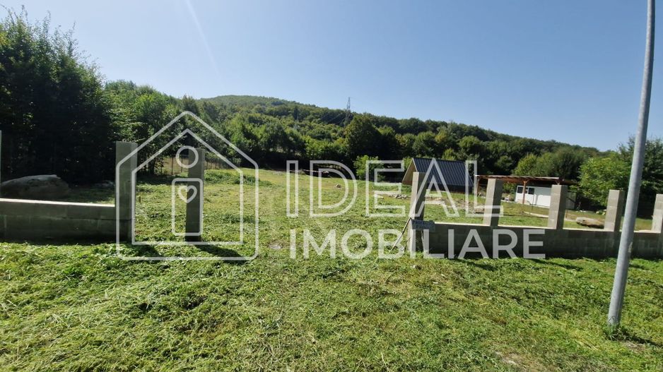 Teren extravilan 2.300 mp – Cârțișoara, județul Sibiu - Poză 2