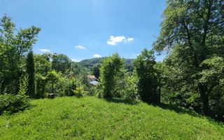 Casa de la marginea padurii! - Poză 6