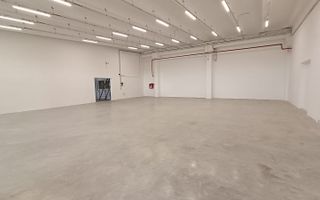 Spatiu Depozitare si Birouri | Zona Industriala Freidorf | Acces Auto/TIR - Poză 2