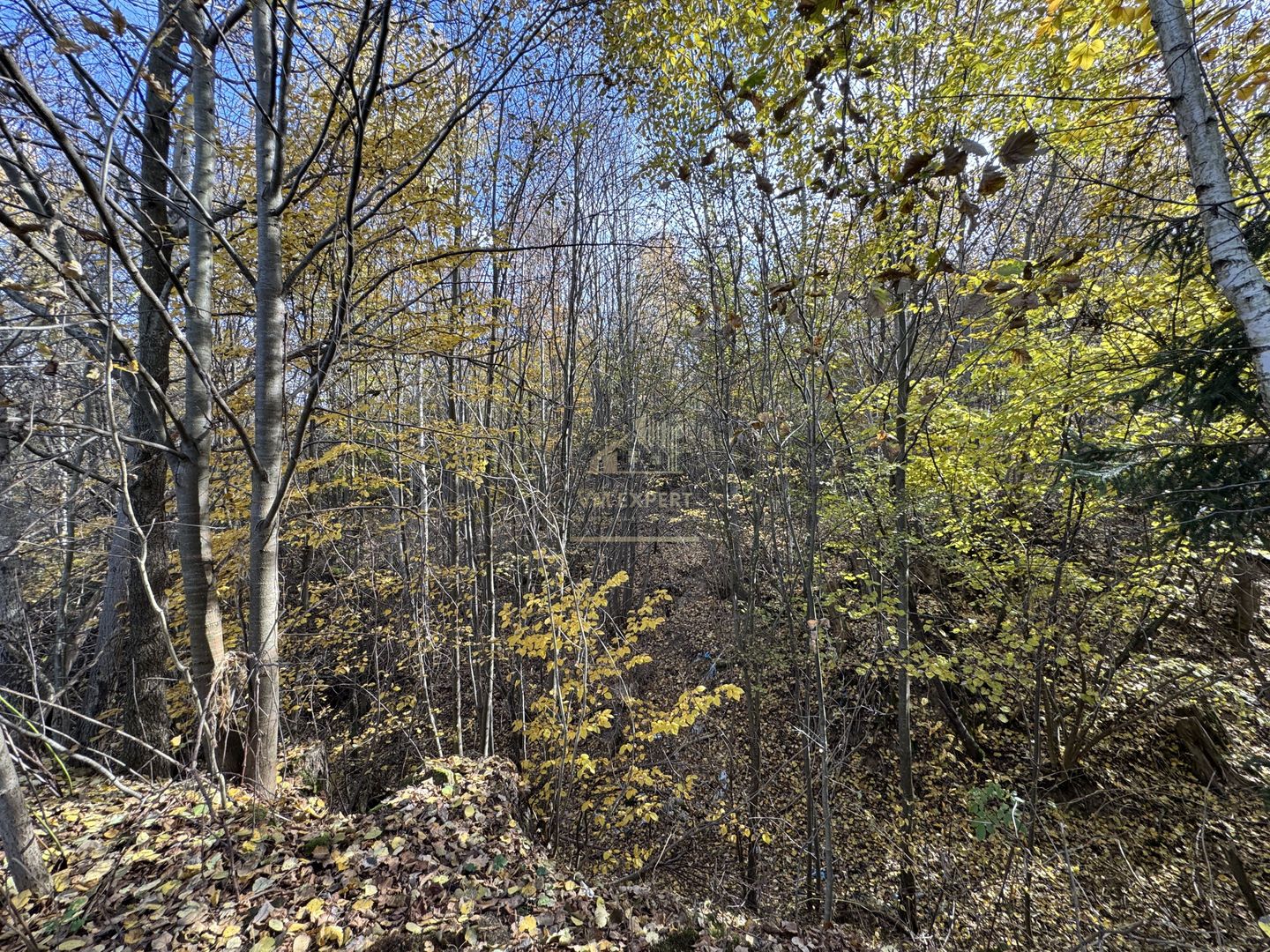 TEREN INTRAVILAN 13167 MP BUGHEA DE SUS ARGES - Poză 18