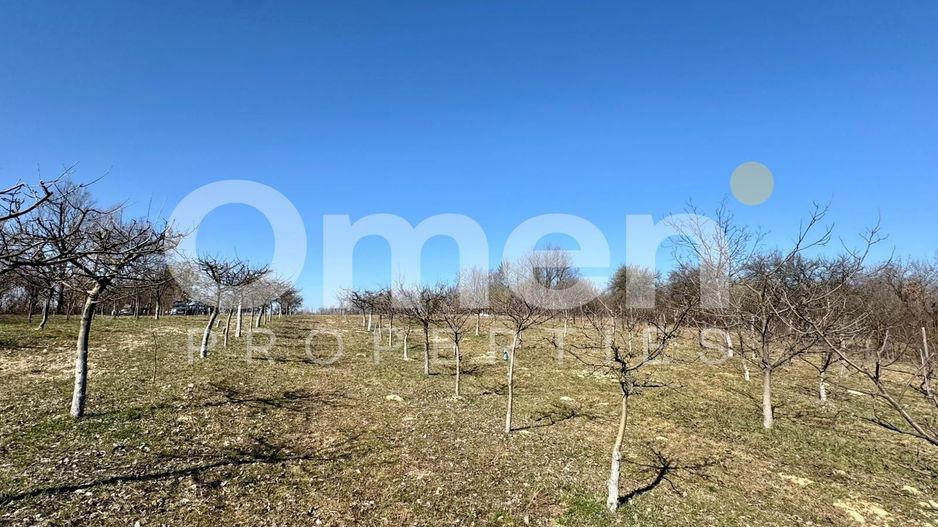 Teren intravilan | Berința | 5800 mp - Poză 2