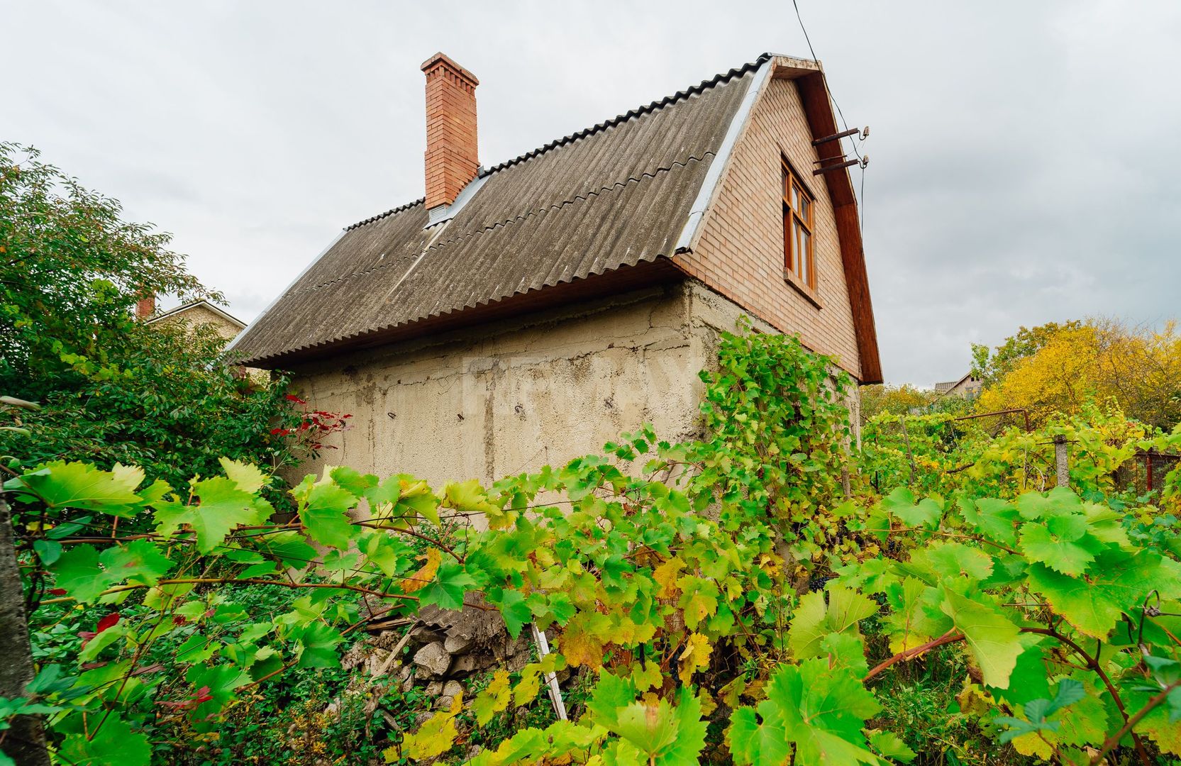 Lot pomicol de 6 ari în Ialoveni, cu construcție auxiliară. - Poză 13